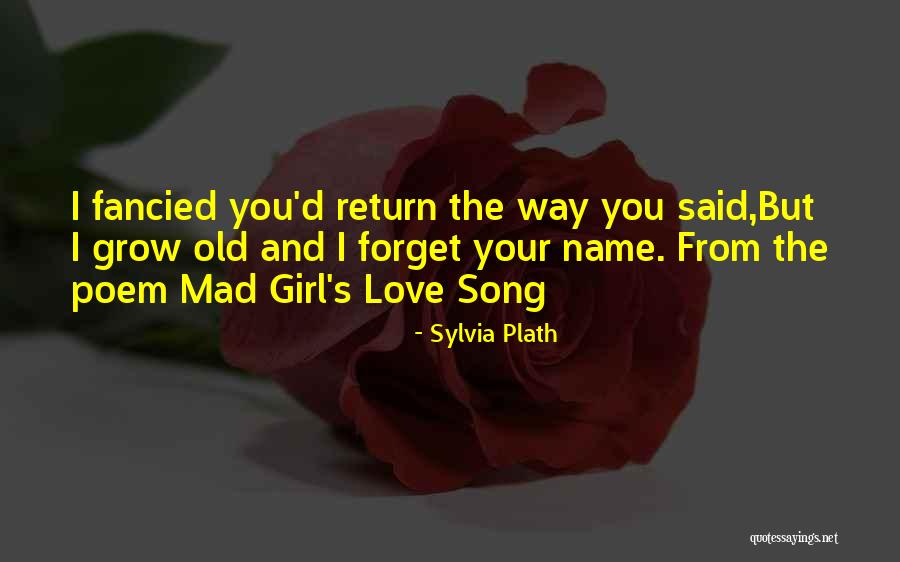 Old Love Poetry Quotes By Sylvia Plath