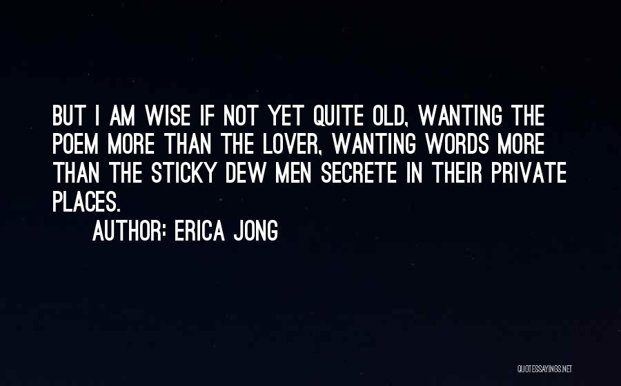 Old Lover Quotes By Erica Jong