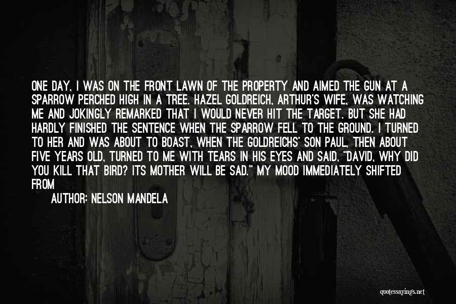 Old Man And The Boy Quotes By Nelson Mandela