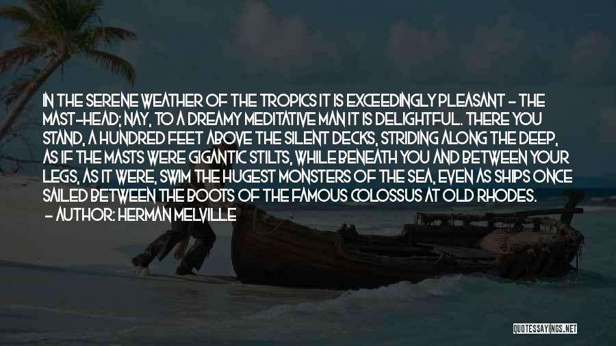 Old Man And The Sea Quotes By Herman Melville