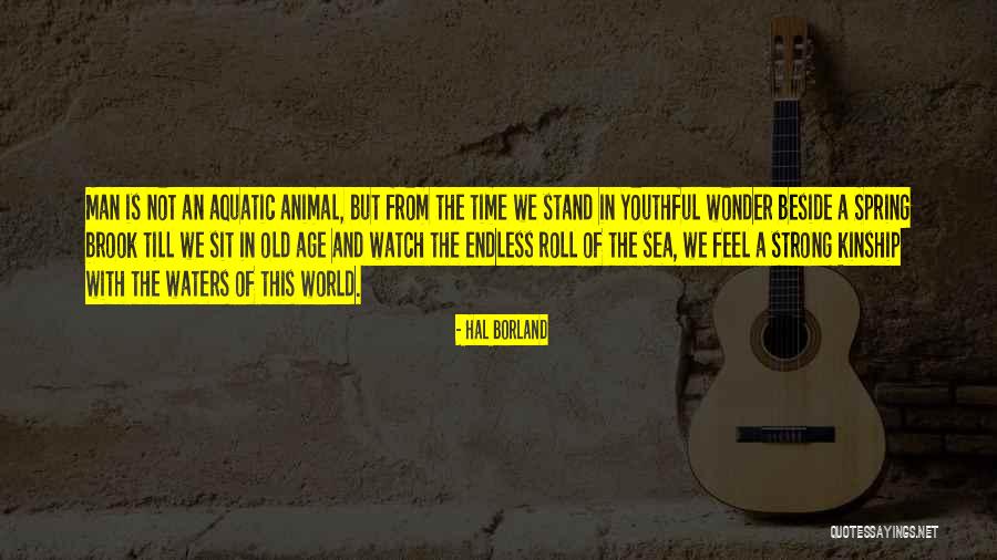 Old Man On The Sea Quotes By Hal Borland Old Man On The Sea Quotes By Hal Borland