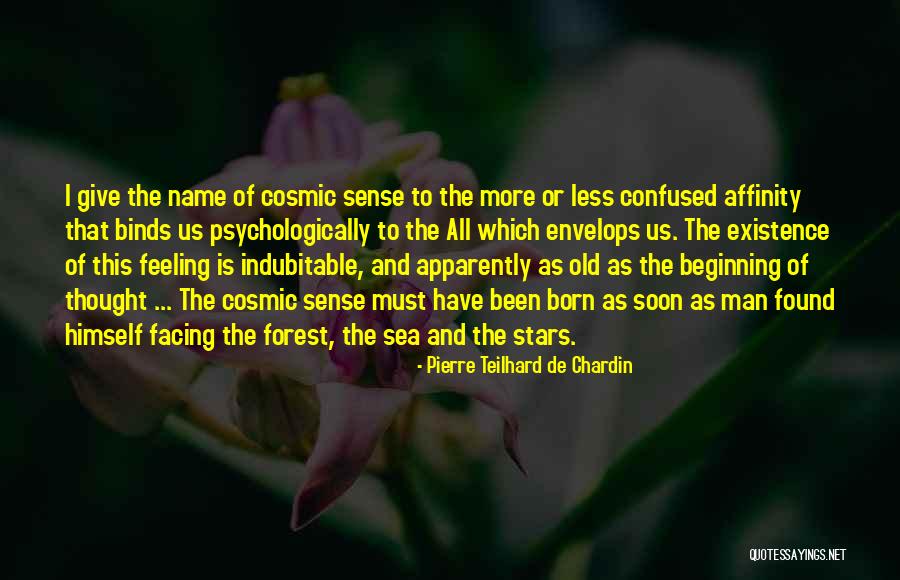 Old Man On The Sea Quotes By Pierre Teilhard De Chardin Old Man On The Sea Quotes By Pierre Teilhard De Chardin