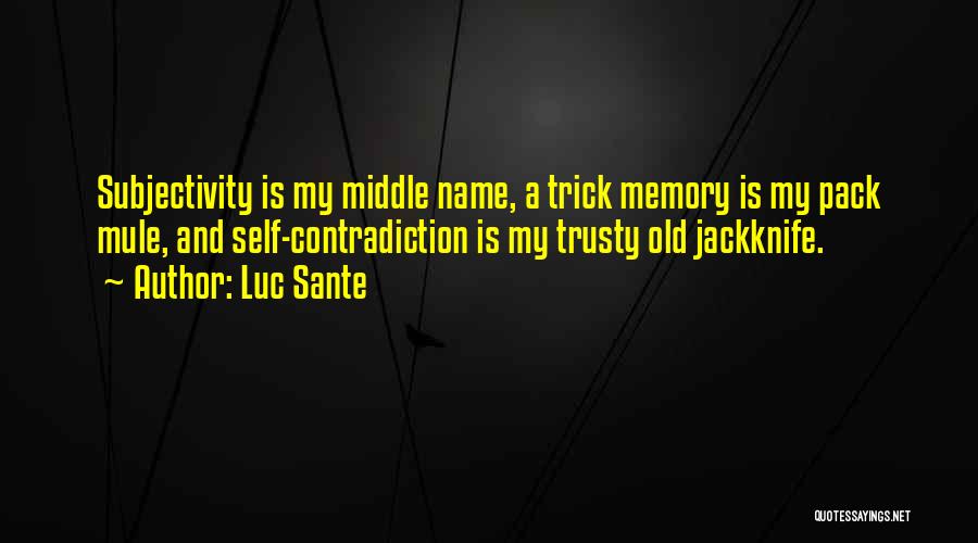 Old Memories Quotes By Luc Sante
