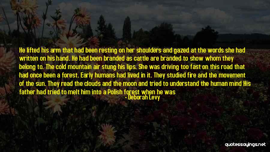 Old Mountain Quotes By Deborah Levy Old Mountain Quotes By Deborah Levy