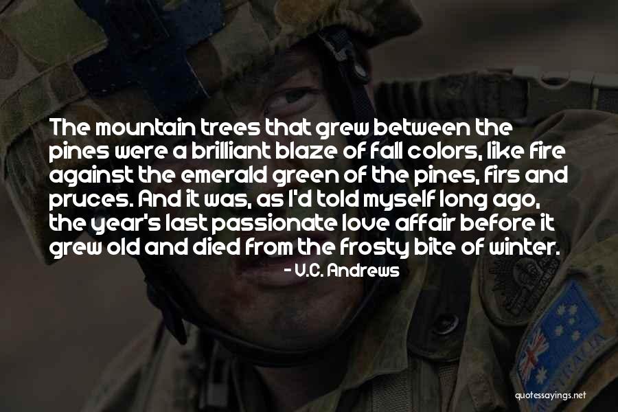 Old Mountain Quotes By V.C. Andrews Old Mountain Quotes By V.C. Andrews