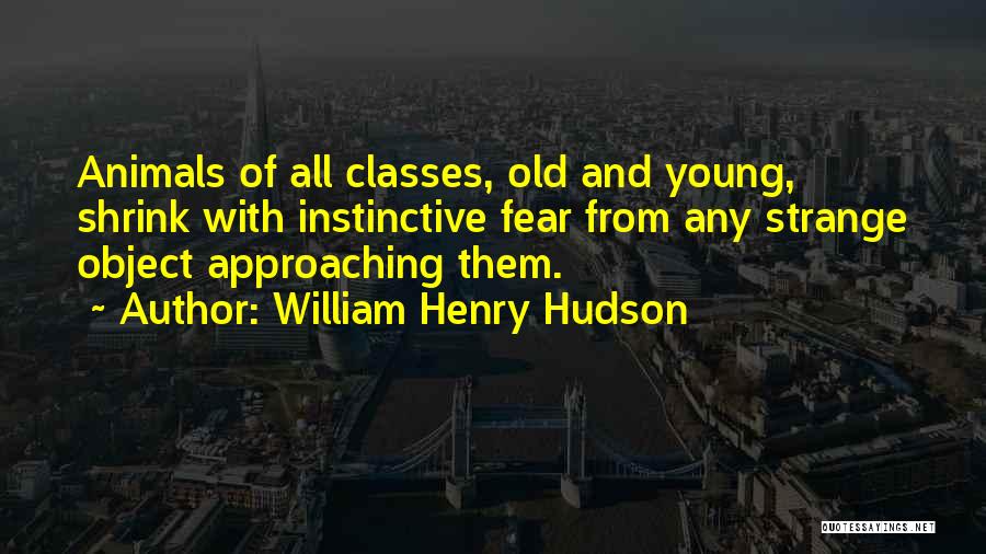 Old Object Quotes By William Henry Hudson