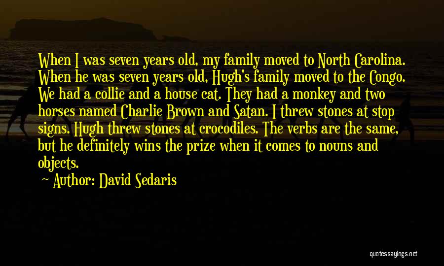 Old Objects Quotes By David Sedaris