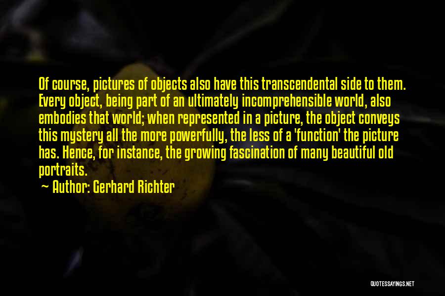 Old Objects Quotes By Gerhard Richter