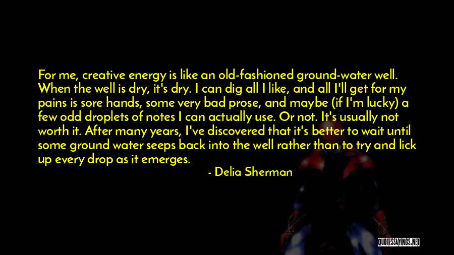 Old Odd Quotes By Delia Sherman