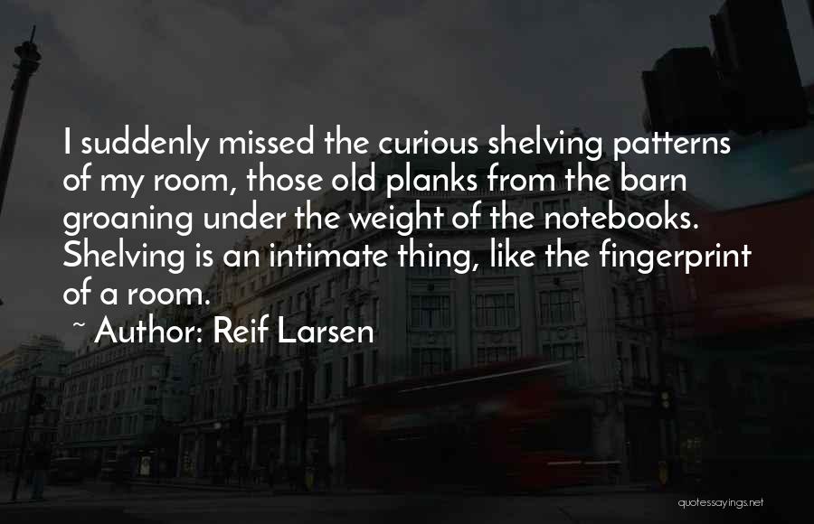 Old Patterns Quotes By Reif Larsen