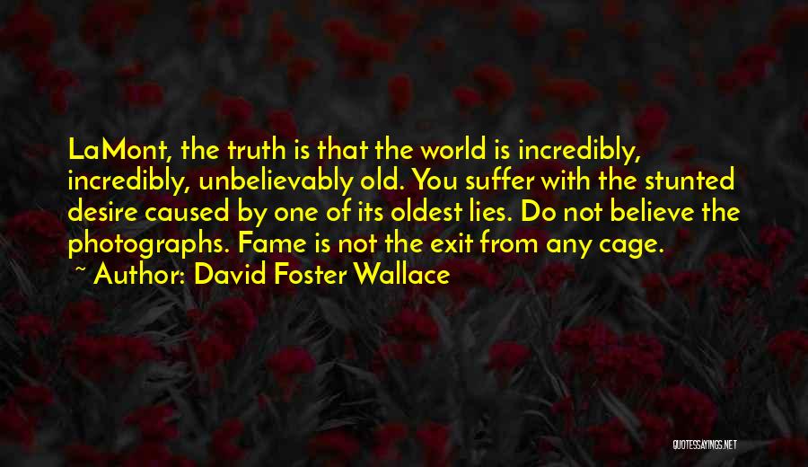 Old Photographs Quotes By David Foster Wallace