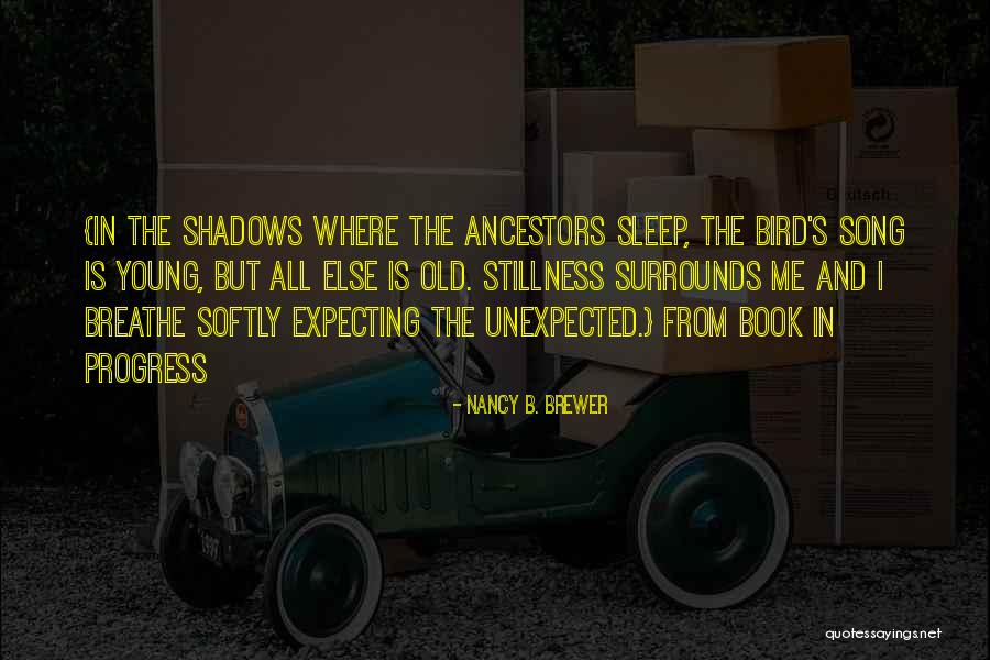 Old Progress Quotes By Nancy B. Brewer Old Progress Quotes By Nancy B. Brewer