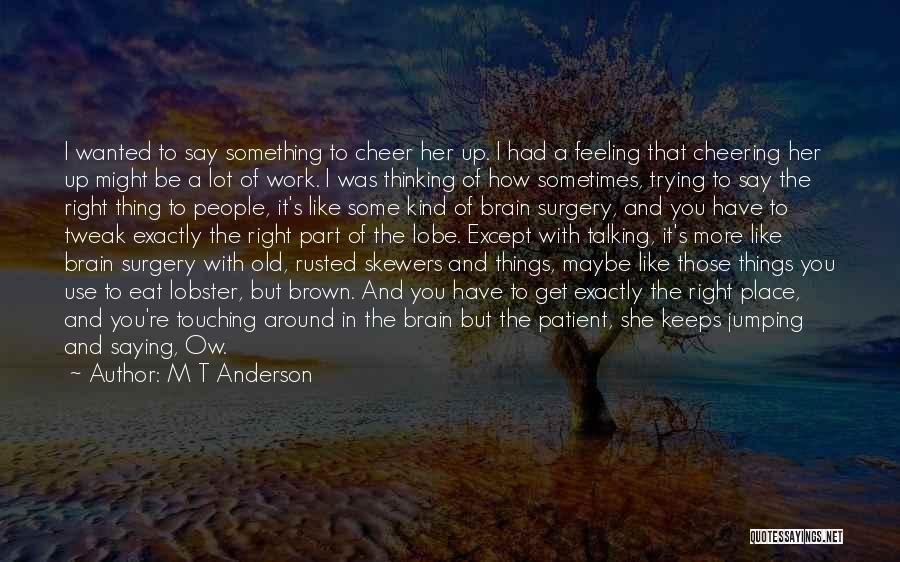 Old Rusted Quotes By M T Anderson