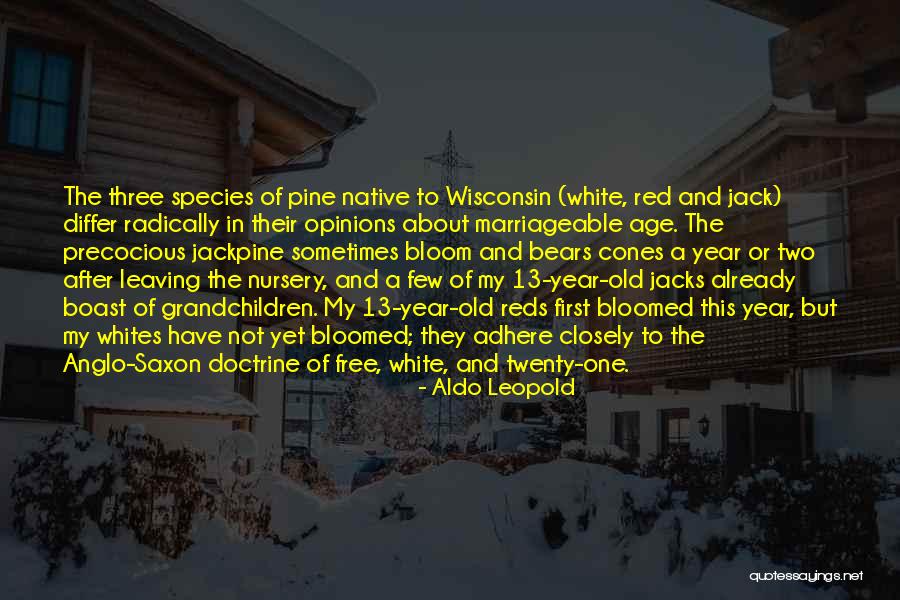 Old Saxon Quotes By Aldo Leopold Old Saxon Quotes By Aldo Leopold