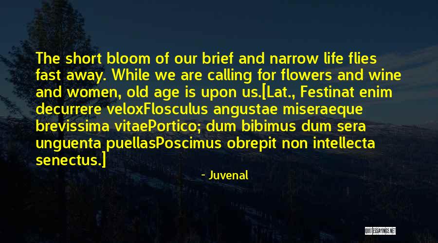 Old Short Quotes By Juvenal Old Short Quotes By Juvenal
