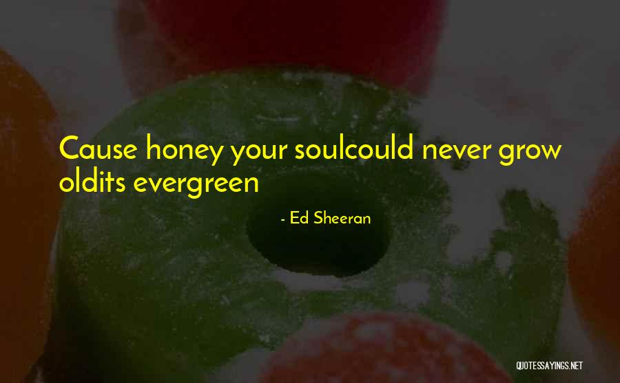 Old Soul Love Quotes By Ed Sheeran
