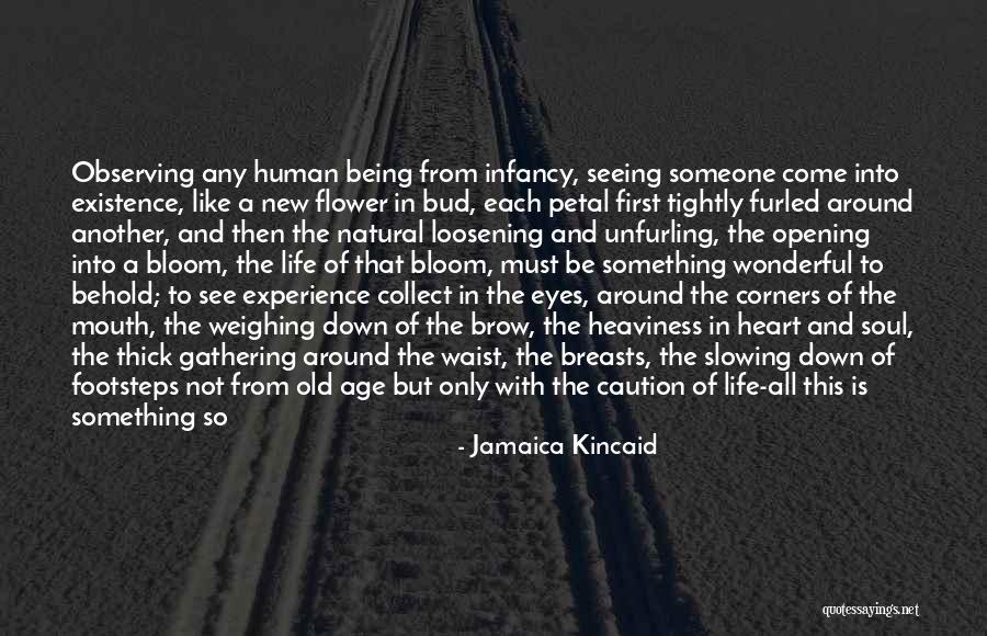 Old Soul Love Quotes By Jamaica Kincaid Old Soul Love Quotes By Jamaica Kincaid