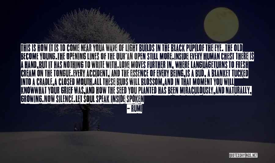 Old Soul Love Quotes By Rumi Old Soul Love Quotes By Rumi