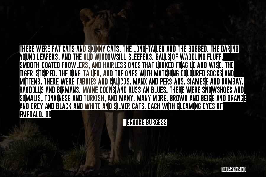 Old Stones Quotes By Brooke Burgess Old Stones Quotes By Brooke Burgess