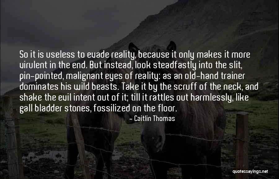 Old Stones Quotes By Caitlin Thomas Old Stones Quotes By Caitlin Thomas