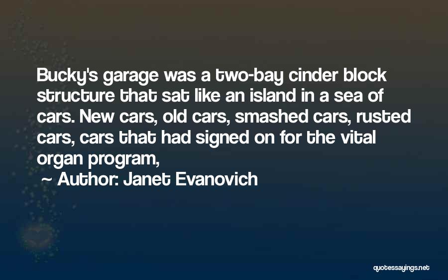 Old Structure Quotes By Janet Evanovich