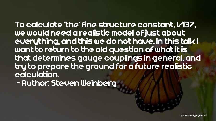 Old Structure Quotes By Steven Weinberg