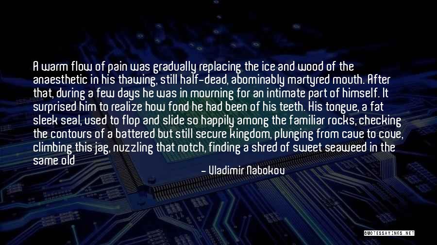 Old Surprised Quotes By Vladimir Nabokov Old Surprised Quotes By Vladimir Nabokov