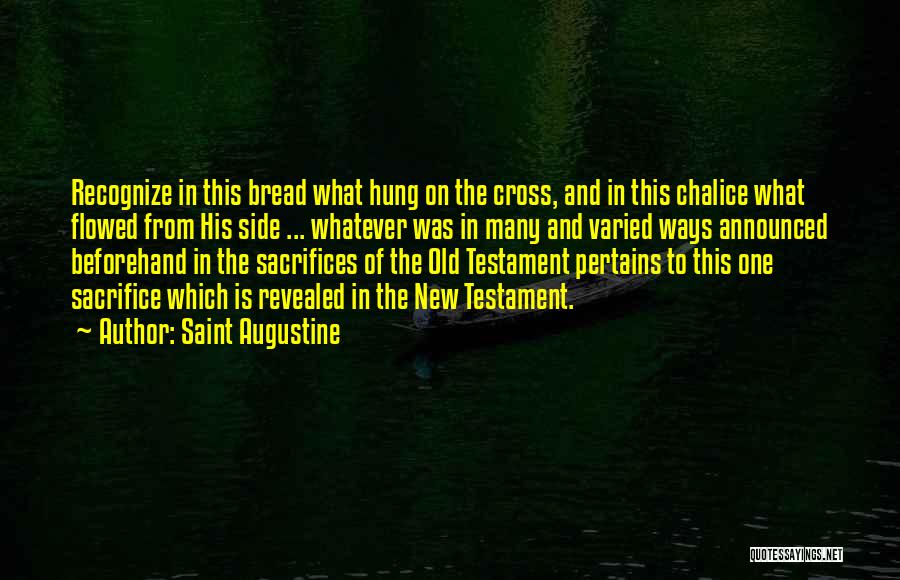 Old Testament Quotes By Saint Augustine