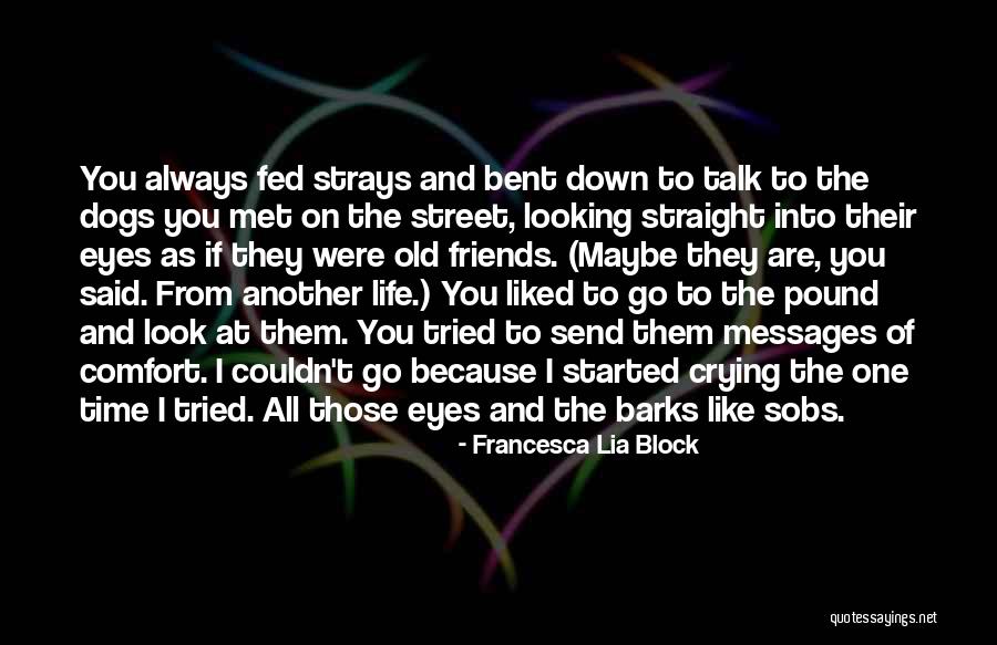 Old Time Friends Quotes By Francesca Lia Block Old Time Friends Quotes By Francesca Lia Block