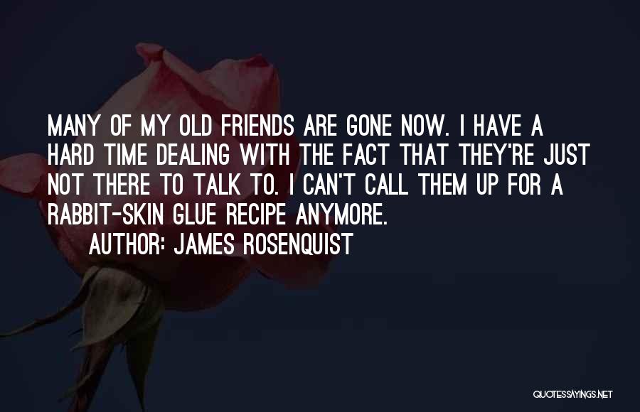 Old Time With Friends Quotes By James Rosenquist