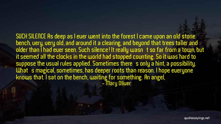 Old Town Quotes By Mary Oliver Old Town Quotes By Mary Oliver