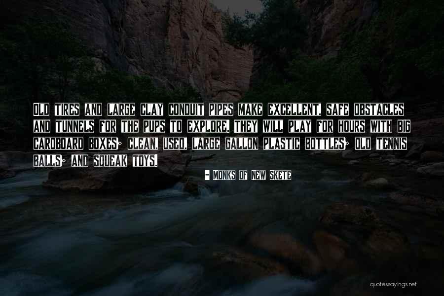 Old Toys Quotes By Monks Of New Skete Old Toys Quotes By Monks Of New Skete