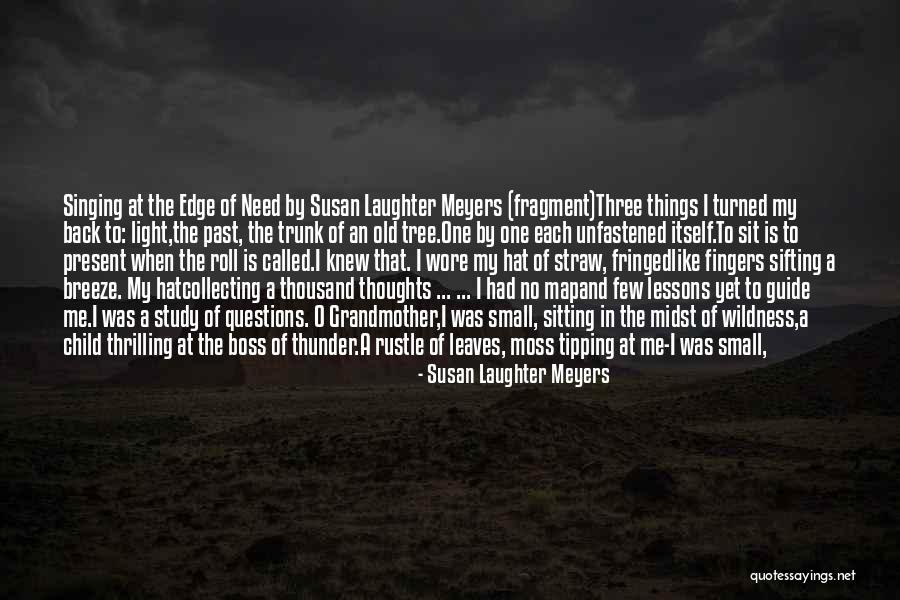 Old Tree Trunk Quotes By Susan Laughter Meyers Old Tree Trunk Quotes By Susan Laughter Meyers