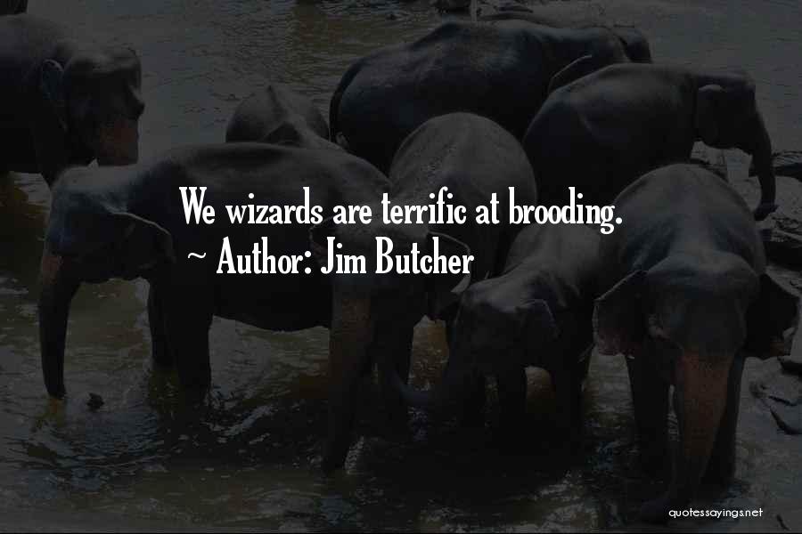 Old Trini Quotes By Jim Butcher