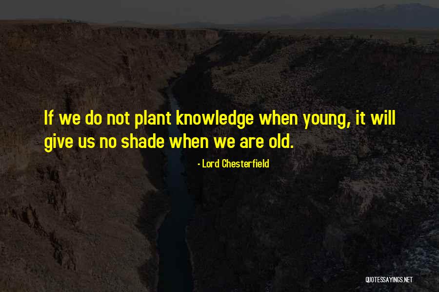 Old When Quotes By Lord Chesterfield Old When Quotes By Lord Chesterfield