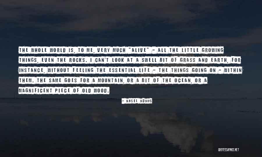Old Wood Quotes By Ansel Adams Old Wood Quotes By Ansel Adams