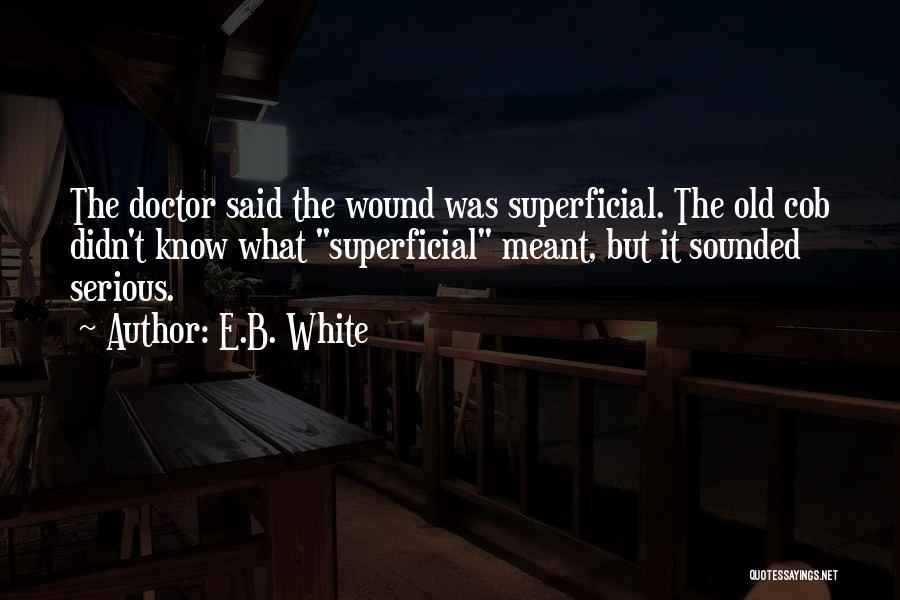 Old Wound Quotes By E.B. White