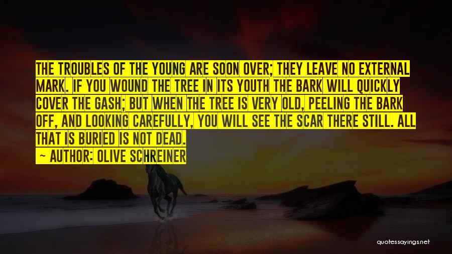 Old Wound Quotes By Olive Schreiner