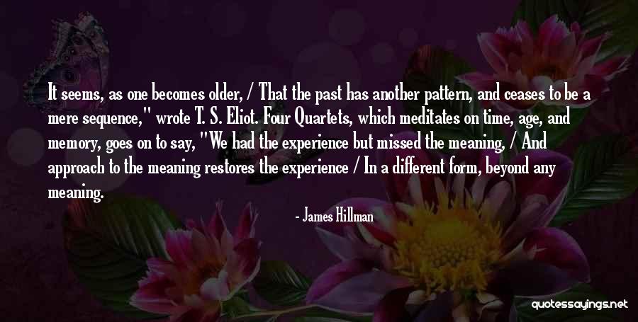 Older Age Quotes By James Hillman Older Age Quotes By James Hillman