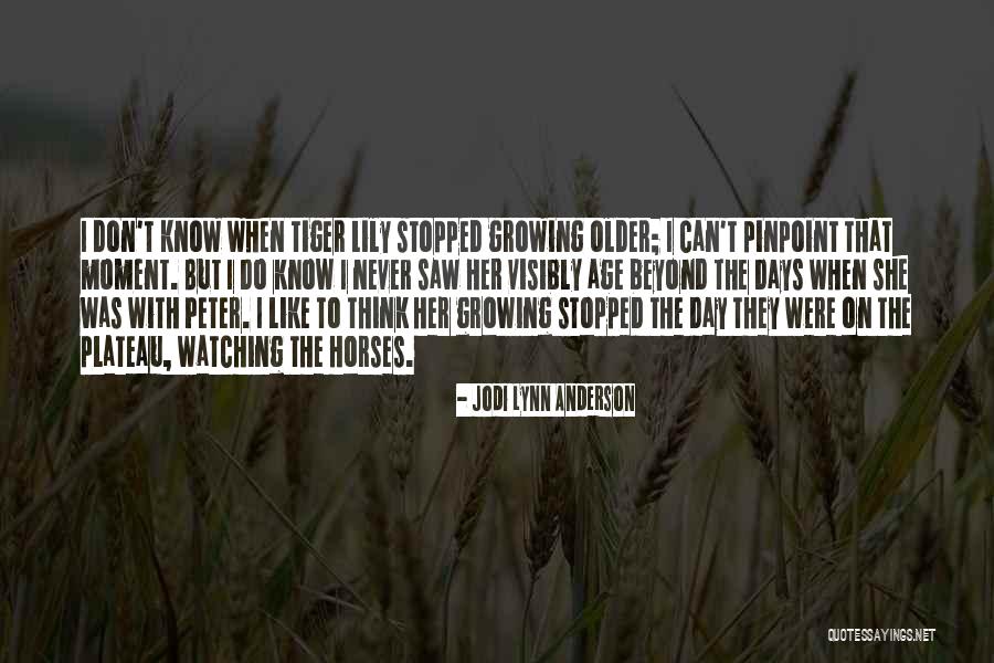 Older Age Quotes By Jodi Lynn Anderson Older Age Quotes By Jodi Lynn Anderson