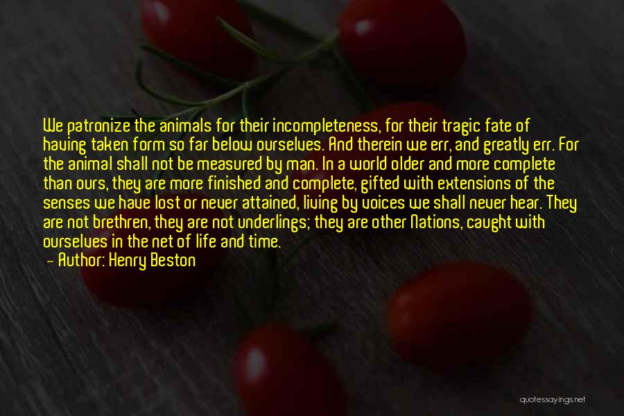 Older Man Quotes By Henry Beston