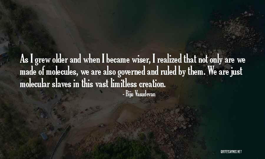 Older You Get The Wiser Quotes By Biju Vasudevan Older You Get The Wiser Quotes By Biju Vasudevan