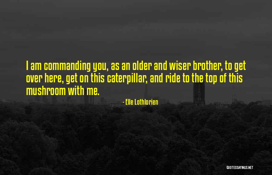 Older You Get The Wiser Quotes By Elle Lothlorien Older You Get The Wiser Quotes By Elle Lothlorien
