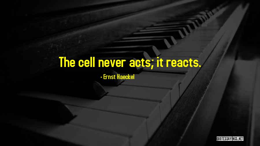 Olding Chiropractic Minster Quotes By Ernst Haeckel Olding Chiropractic Minster Quotes By Ernst Haeckel