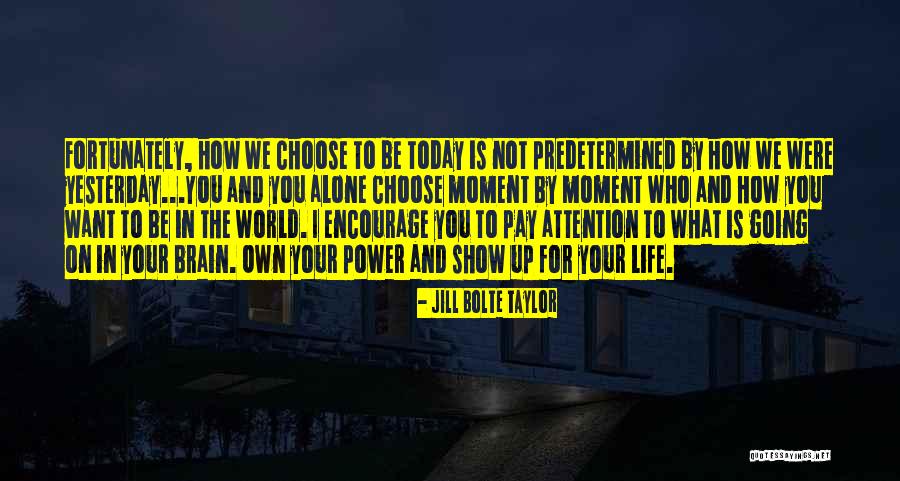 Olding Chiropractor Quotes By Jill Bolte Taylor Olding Chiropractor Quotes By Jill Bolte Taylor