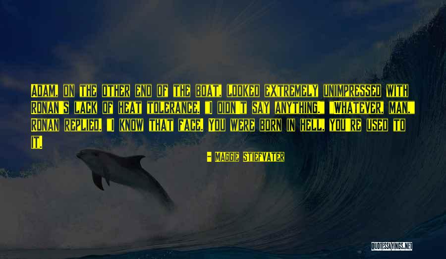 Oldugu Kadar Olmadigi Kader Quotes By Maggie Stiefvater Oldugu Kadar Olmadigi Kader Quotes By Maggie Stiefvater