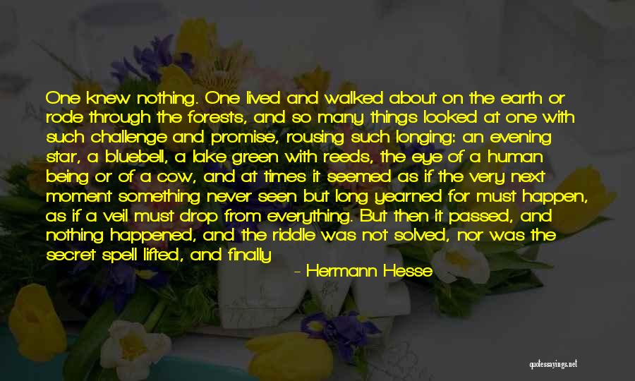 Oleanders Auto Quotes By Hermann Hesse