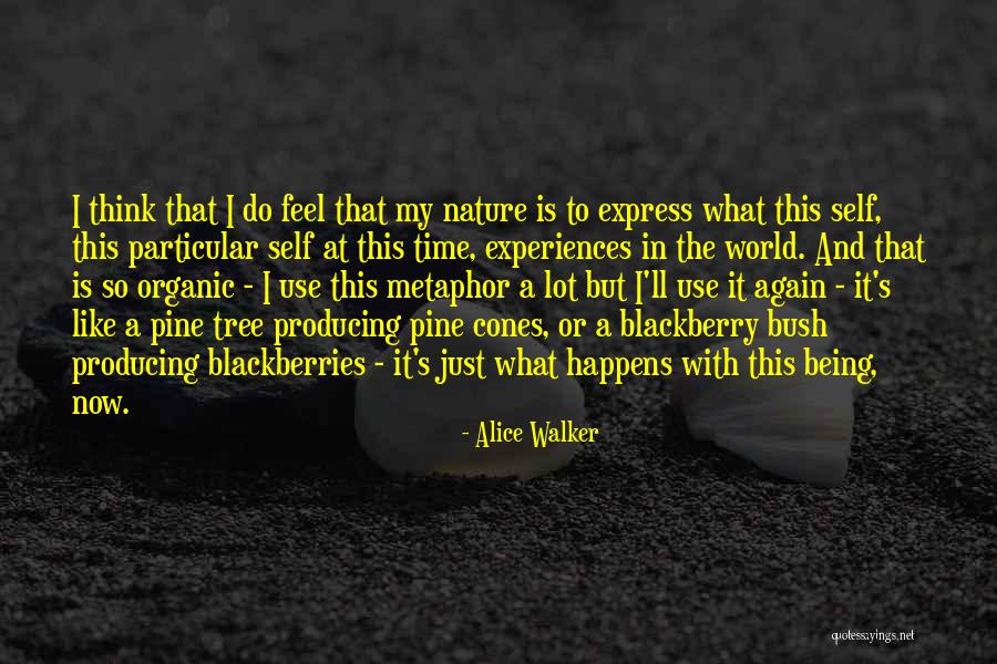 Olegario Barrera Quotes By Alice Walker Olegario Barrera Quotes By Alice Walker