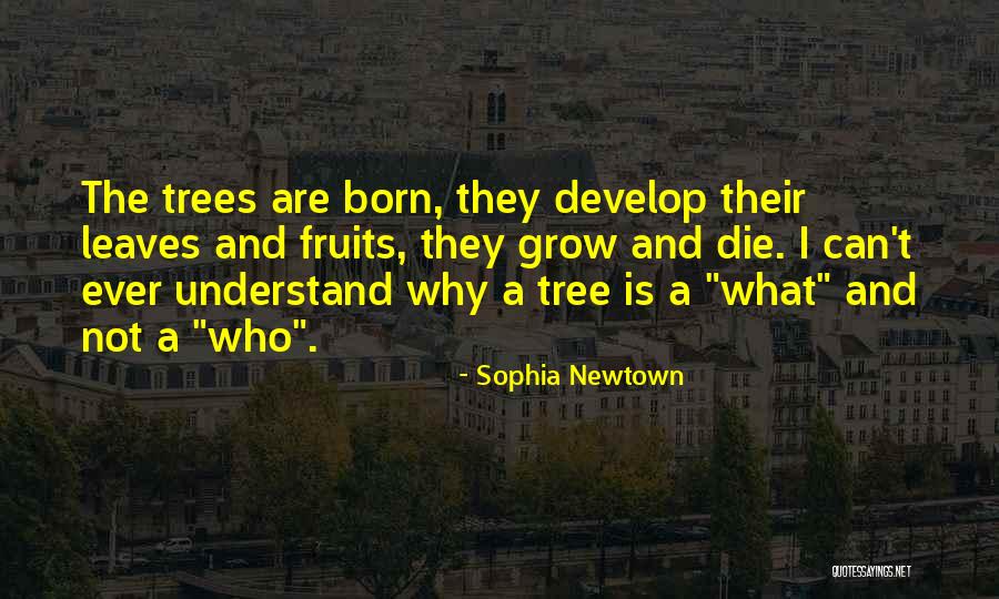 Olenka Artisan Quotes By Sophia Newtown Olenka Artisan Quotes By Sophia Newtown
