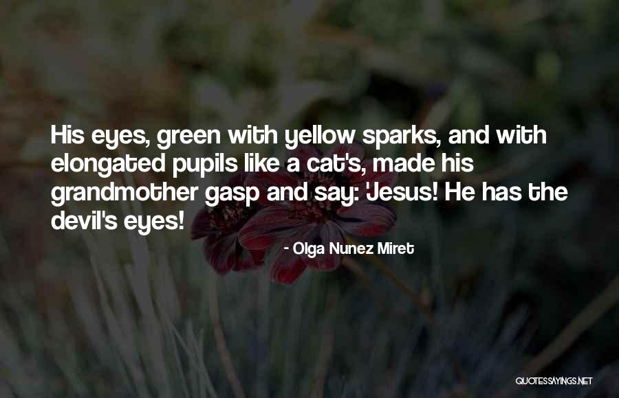 Olga Nunez Miret Quotes 641324 Olga Nunez Miret Quotes 641324